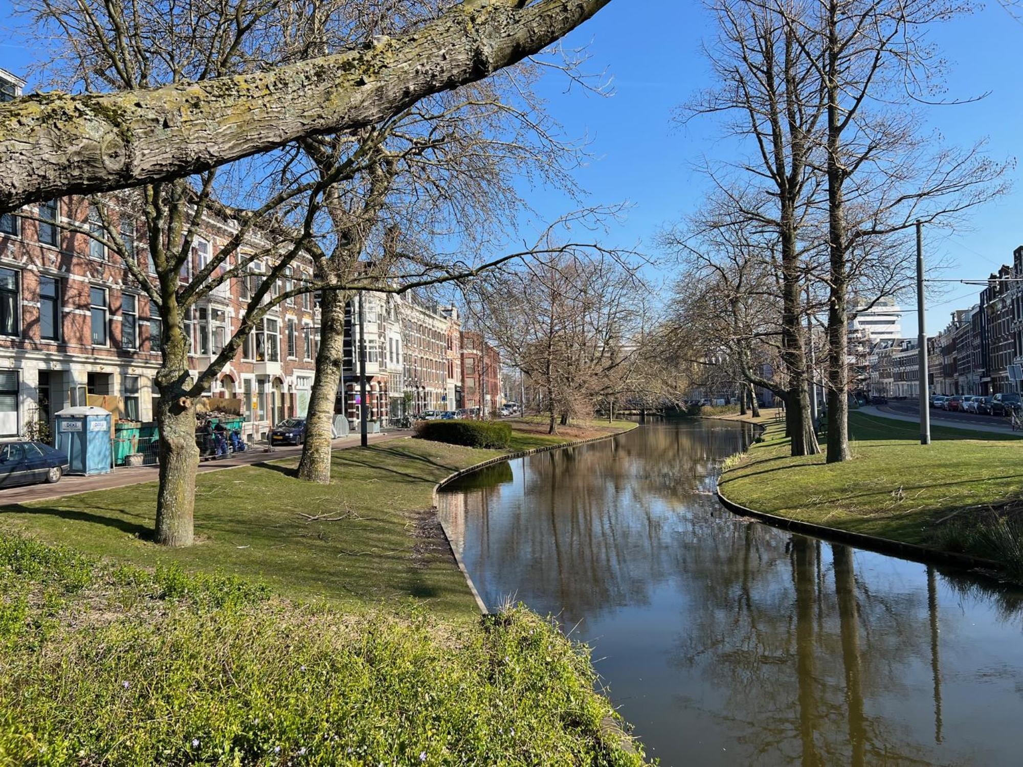 Rotterdam Inn Экстерьер фото